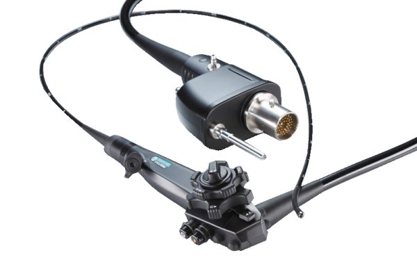EG-2490K