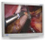 EndoVue 32"