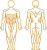 EN Dynamic 15 Abdominal Trainer MDD